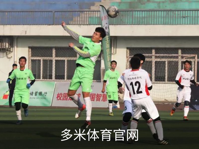 了解多米体育官网